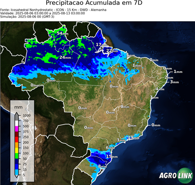 7 dias