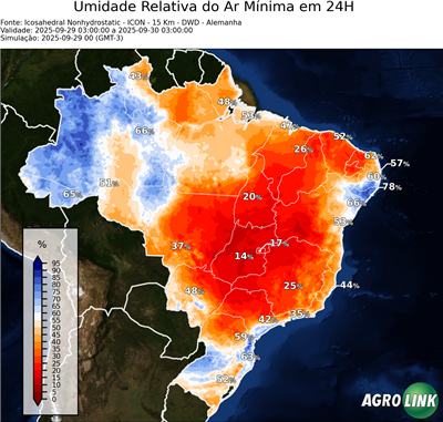 24 horas
