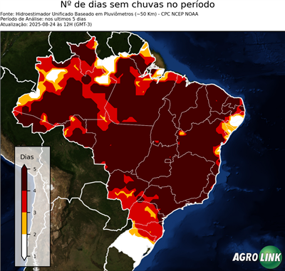 5 dias