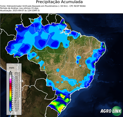 15 dias