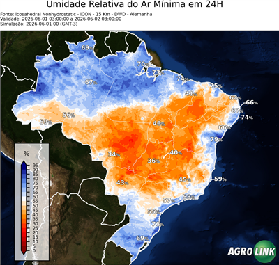 24 horas
