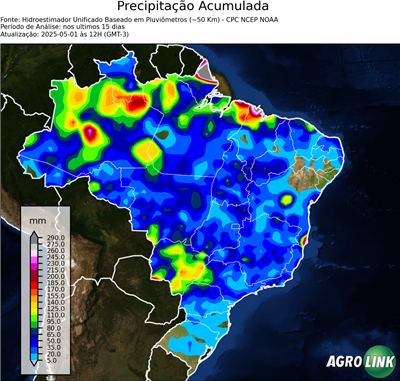 15 dias