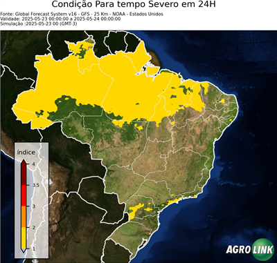 24 horas