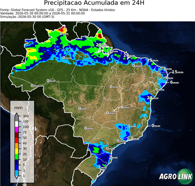 24 horas