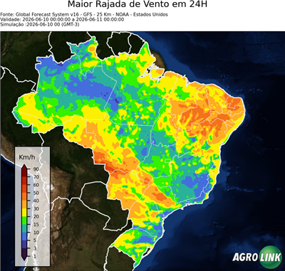 24 horas