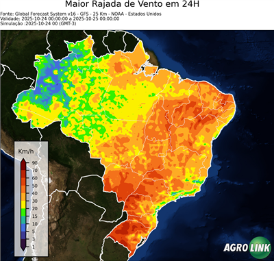 24 horas