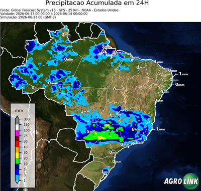 24 horas