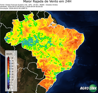 24 horas