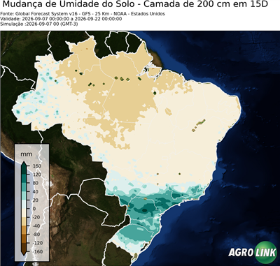 15 dias