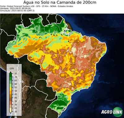 24 horas