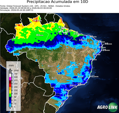 10 dias