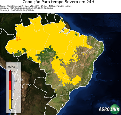 24 horas
