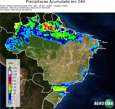 24 horas