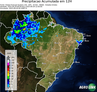 12 horas