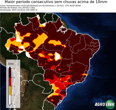 5 dias