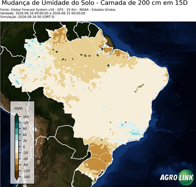 15 dias
