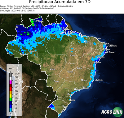 7 dias