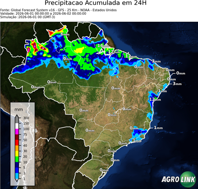 24 horas