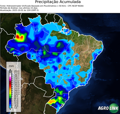 15 dias