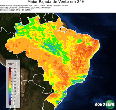 24 horas