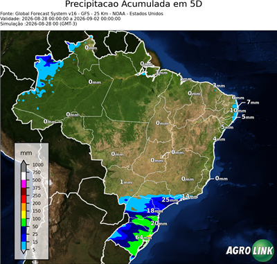 5 dias