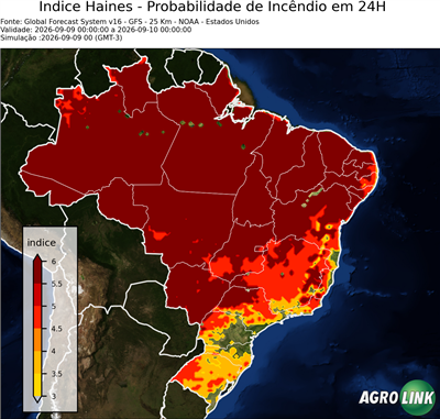 24 horas