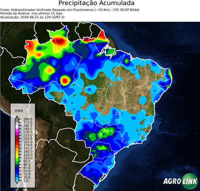 15 dias