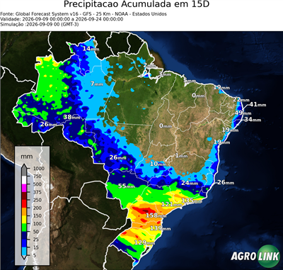 15 dias