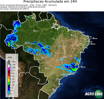 24 horas