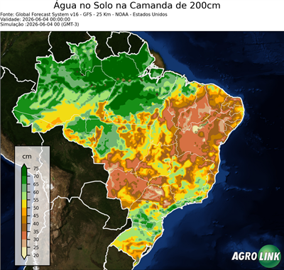 24 horas