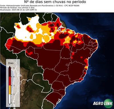 5 dias
