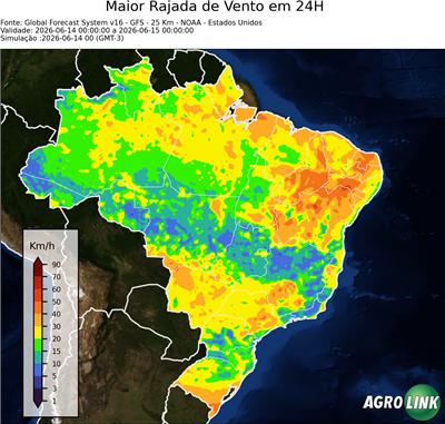 24 horas