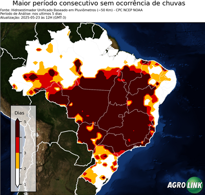 5 dias