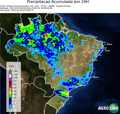 24 horas