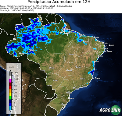 12 horas