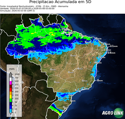 5 dias