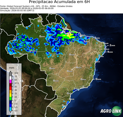 6 horas