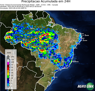 24 horas