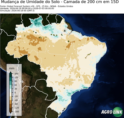15 dias
