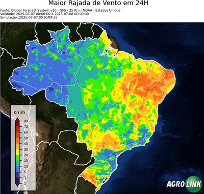 24 horas