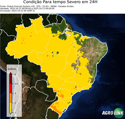 24 horas