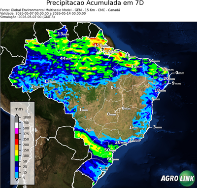 7 dias