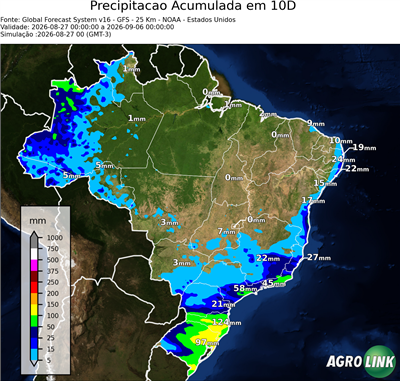 10 dias