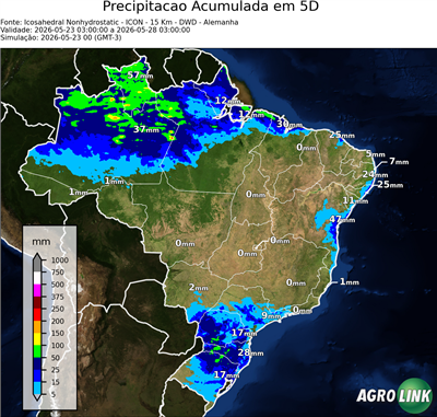 5 dias