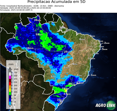 5 dias