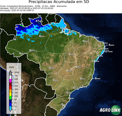 5 dias