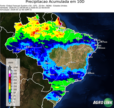 10 dias