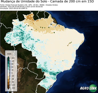 15 dias