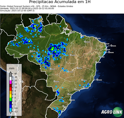 1 hora