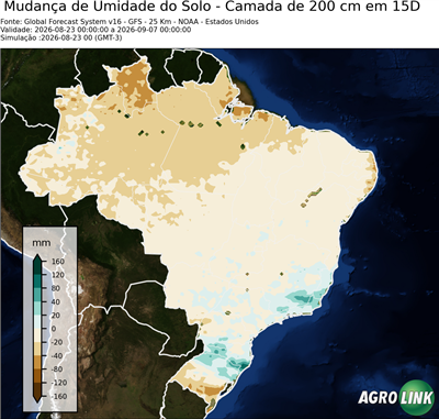 15 dias